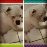 Hilary Nicholson - Instagram Profile Picture of Hilary Nicholson (@kingesteri) on Instagram