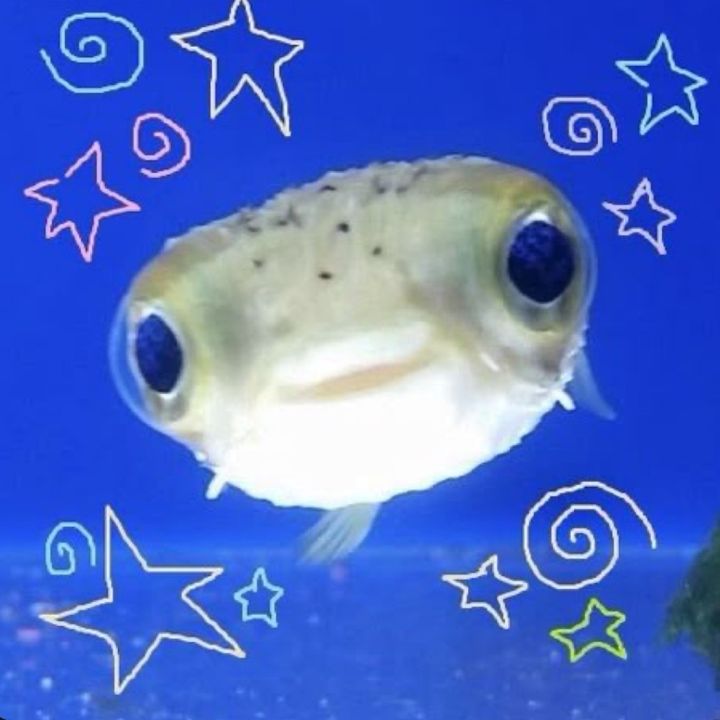 Profile Picture of ~🪼 Joey W 🪼~ (@josephinewatson) on Tiktok