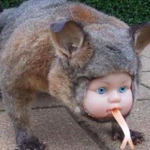 Profile Picture of James Renner (@notjamesrenner) on Twitter