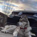 Profile Picture of Theodore Roy (@theo.r36) on Instagram