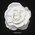 Blake Gower - Instagram Profile Picture of Blake Gower (@gowerblake) on Instagram