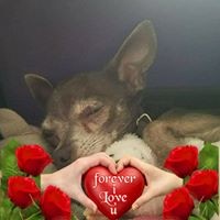 Profile Picture of Hope Staton (@hope-staton-2) on Quora