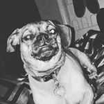 Profile Picture of ZWT (@wayne_thomas918) on Instagram