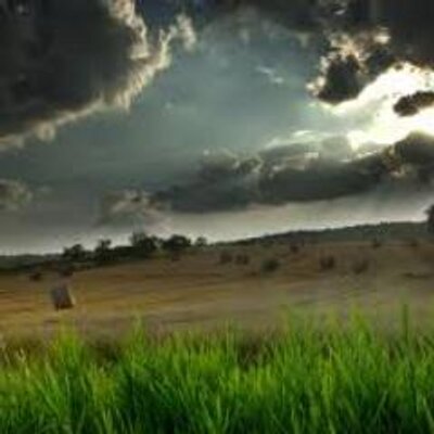 Profile Picture of Marjorie Cadet (@crummixingto) on Twitter