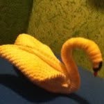 Profile Picture of chenoathomas (@chenoathomas) on Instagram