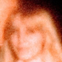 Profile Picture of Willa Cantu (@willa-cantu) on Quora