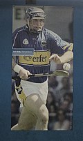 Profile Photo of Eoin Kelly (Tipperary hurler)on Wikipedia