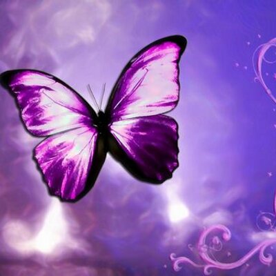 Profile Picture of Jill_wong (@jill_wong) on Twitter