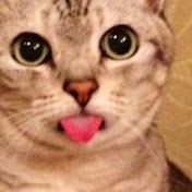 Profile Picture of Akio Takahashi (@yum1959) on Youtube