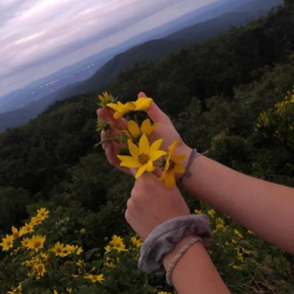 Profile Picture of Katelynn Fellenstein (@rosekate27) on Poshmark