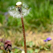 Profile Picture of Marshall Collins (@VorCraftGaming) on Youtube