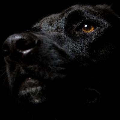 Profile Picture of Jacob Russo (@jacobrusso77) on Twitter