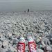 Profile Picture of Ian Jones (@sanchezjj) on Pinterest