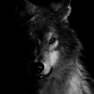 Profile Picture of Damian Gignac (@damian.gignac.52) on Facebook