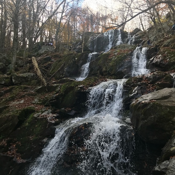 Nicholas Miele - Poshmark Profile Picture of Nicholas Miele (@nicholasmiele) on Poshmark