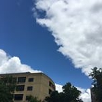 Profile Picture of Xue Shao (@xueshaophotography) on Instagram