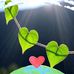 Profile Picture of Annie Gingras (@annie.gingras.140193) on Facebook