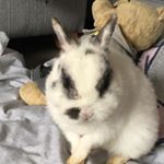 Profile Picture of Rubyfanning (@rubyfanning1234) on Instagram