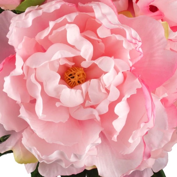 Profile Picture of Pink Peony (@lnknhgr) on Poshmark