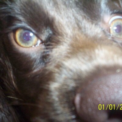 Profile Picture of Mark Blevins (@markblevins2) on Twitter