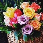 Profile Picture of Robert Luke (@robertluke82) on Instagram