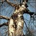 Profile Picture of Paulo Dañek (@paulo.danek.9) on Facebook
