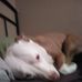 Profile Picture of Jarrod Sinclair (@jarrod.sinclair.52) on Facebook