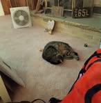 Profile Picture of Donna Keene (@donnakeene40) on Facebook