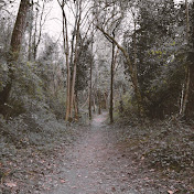 Profile Picture of Paul Esser (@paulesser3581) on Youtube