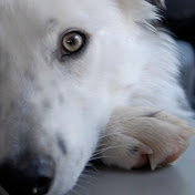 Profile Picture of Ryan McCafferty (@pumax369) on Youtube