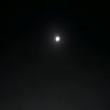 Profile Picture of Nicholas Wade (@@nicholaswade0) on Tiktok