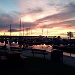 Profile Picture of Debra Warzecha (@warzechadebra) on Instagram