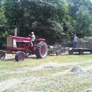 Profile Picture of Steven Mcdorman (@sjexcavating) on Myspace