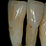 Profile Picture of Tom Cummings (@turtletom) on Flickr