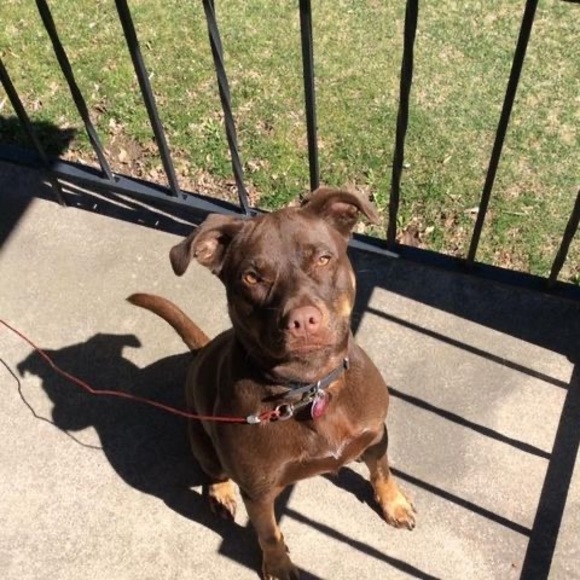 Profile Picture of Chuck Smith (@chucksmith142) on Poshmark