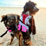 Profile Picture of Stéphanie Vanneau (@timeloy) on Instagram