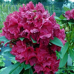 Profile Picture of Brendah Sakala (@brendah.sakala) on Flickr