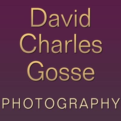 Profile Picture of David Charles Gosse (@GossePhotograph) on Twitter