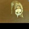 Profile Picture of Macdementia (@michaelcuneo018) on Tiktok