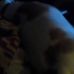 Profile Picture of Robert Hoffer (@robert.hoffer.1023) on Facebook