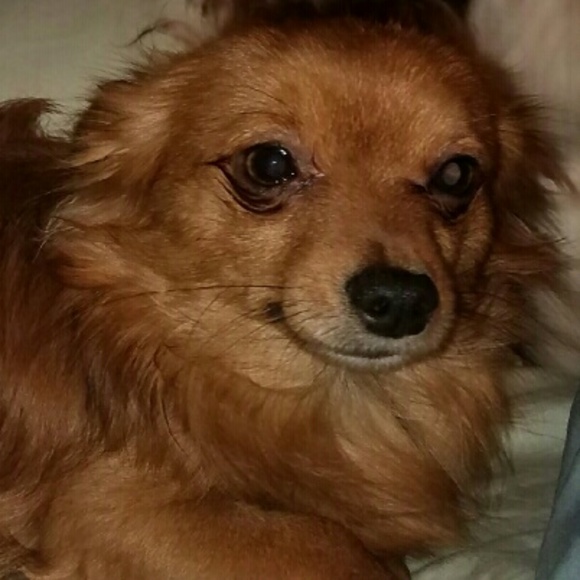 Profile Picture of Garrett Mason (@chiefkeefsosa69) on Poshmark