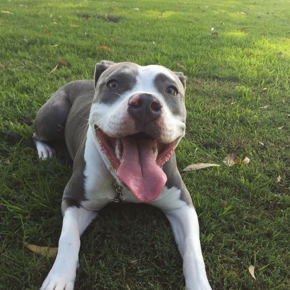 Profile Picture of Ariel Ocampo (@ar3ocampooo) on Poshmark