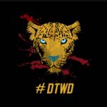 Profile Picture of Nicholas Grady (@fqequees) on Instagram