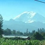 Profile Picture of Beth Fleck Stamm (@stamm.beth) on Instagram
