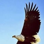 Profile Picture of Edward Makusha Eddie (@makushaeddie) on Instagram