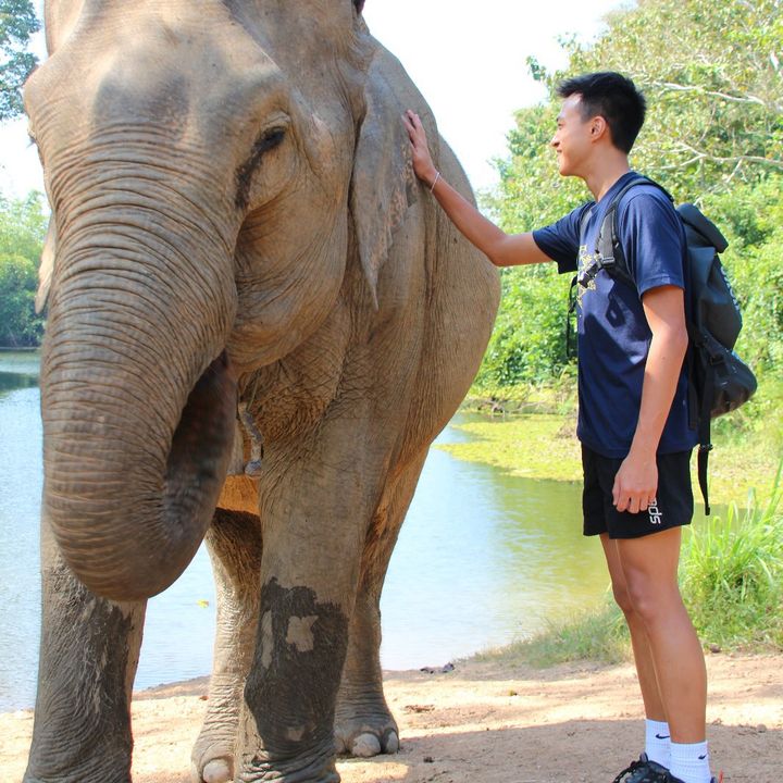 Profile Picture of Jared Tan (@jaredtan8223) on Tiktok
