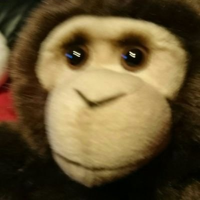 Profile Picture of Thomas Gartner (@ThomasGartner7) on Twitter