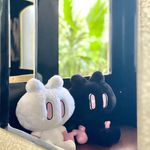 Mandy Lei - Instagram Profile Picture of Mandy Lei (@mandyleicat) on Instagram