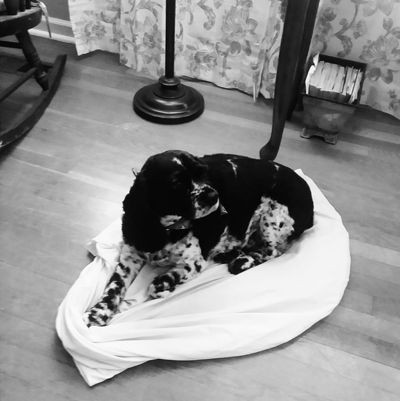 Patricia Meroney - Poshmark Profile Picture of Patricia Meroney (@plm0611) on Poshmark