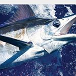 Profile Picture of Seth Gibbons (@gone_fishing_bda) on Instagram